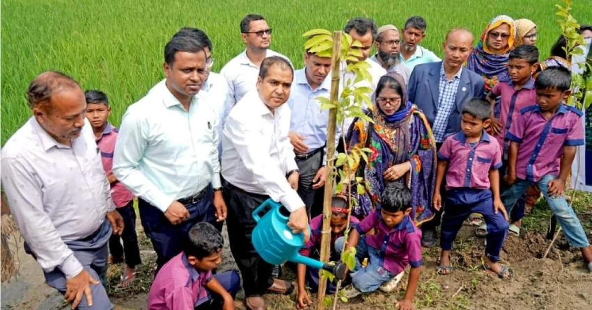 সরকারের নির্বাচনী অঙ্গীকার বাস্তবায়নে রংপুরে বৃক্ষরোপণ কার্যক্রম উদ্বোধন
