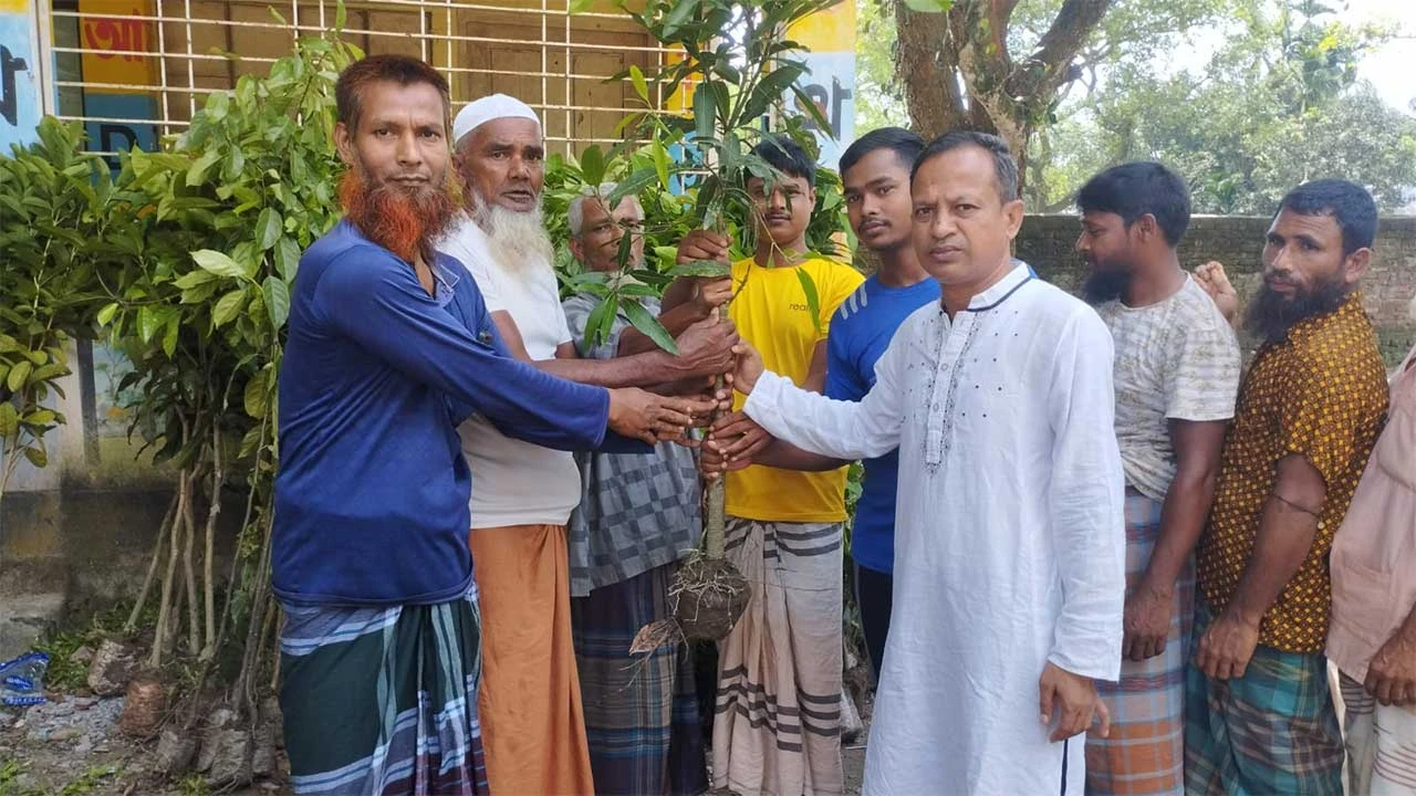 স্বেচ্ছাসেবী সংগঠন' আলোকিত চাঁদখানা' এর উদ্যোগে গাছের চারা বিতরণ